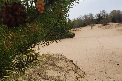 Dune Lake Campground