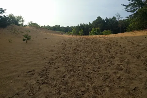 Dune Lake Campground