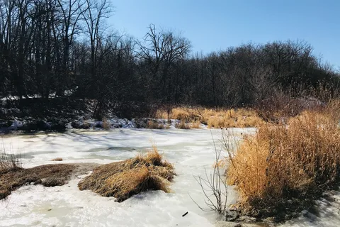 Turtle River State Park