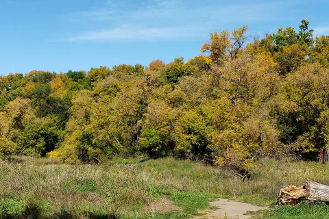 Turtle River State Park