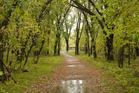 Turtle River State Park