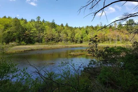 Erving State Forest