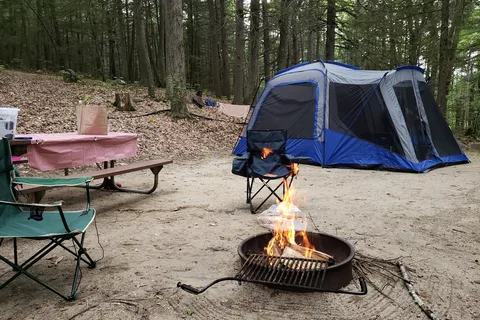 Erving State Forest