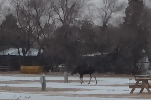 Buffalo Trails Campground