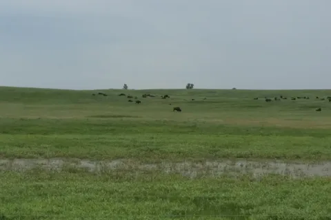 Buffalo Trails Campground
