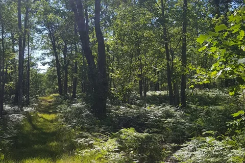 Elkwood Campground