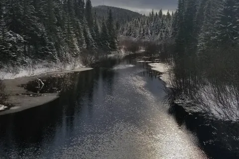 Loutre - Laurentides Reserve