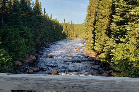 Loutre - Laurentides Reserve