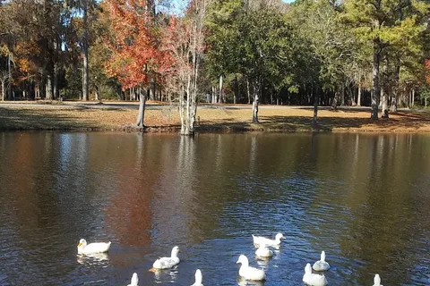 Live Oak Landing