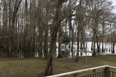 Live Oak Landing