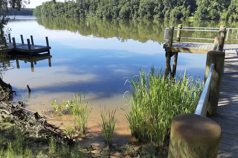 Live Oak Landing