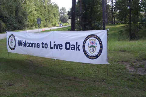 Live Oak Landing