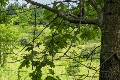 Family - Lake Le-Aqua-Na State Recreation Area