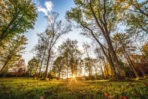 Breakneck Campground