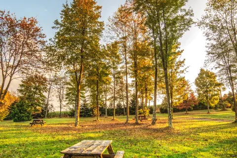 Breakneck Campground