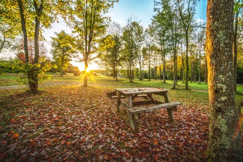 Breakneck Campground