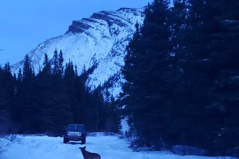 Whitehorse Creek Prov Recreational Area