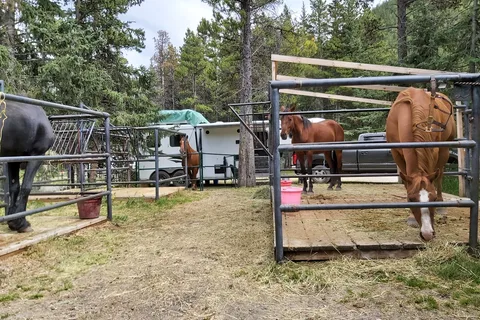 Whitehorse Creek Prov Recreational Area