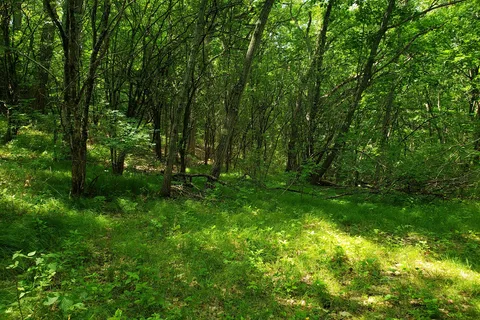 Scenic Ridge Campground