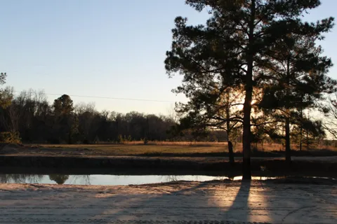 Pebble Hill RV Resort