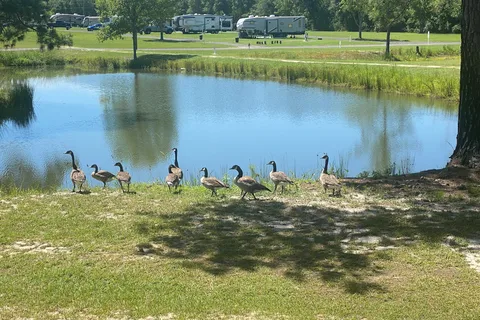 Pebble Hill RV Resort