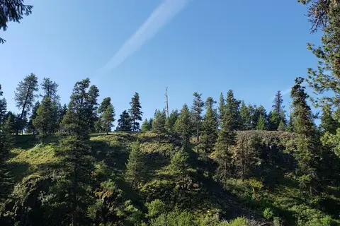 Ukiah-Dale Forest State Scenic Corridor