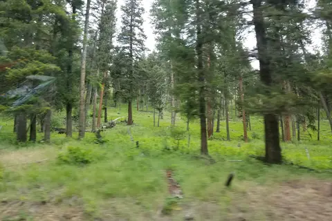 Ukiah-Dale Forest State Scenic Corridor