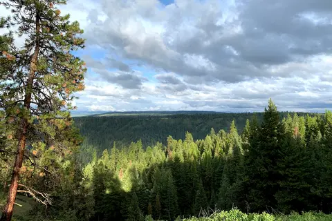 Ukiah-Dale Forest State Scenic Corridor