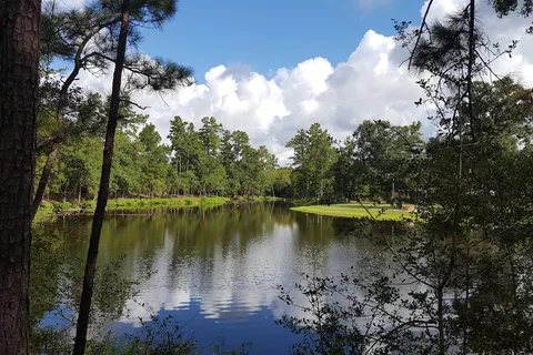 Magnolia Forest RV Park