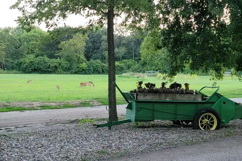 Dallas County Fairgrounds Campground