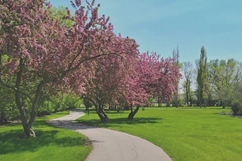 Altona Centennial Park