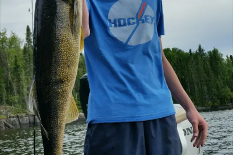 Timber Edge Camps