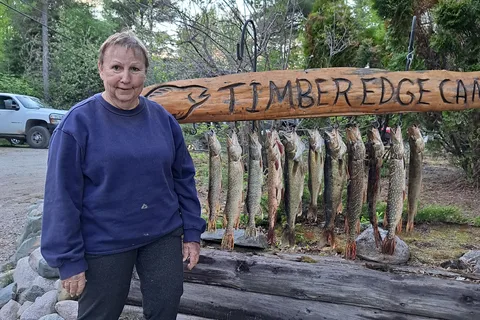 Timber Edge Camps