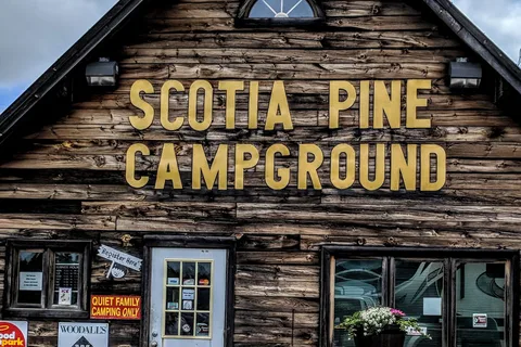 Scotia Pine Campground