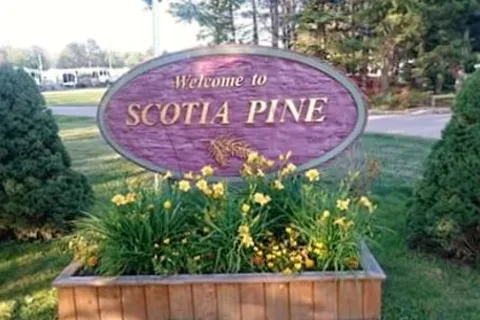 Scotia Pine Campground