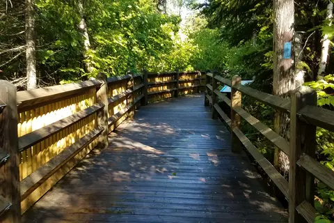 Rivermouth Pines - Tahquamenon Falls State Park