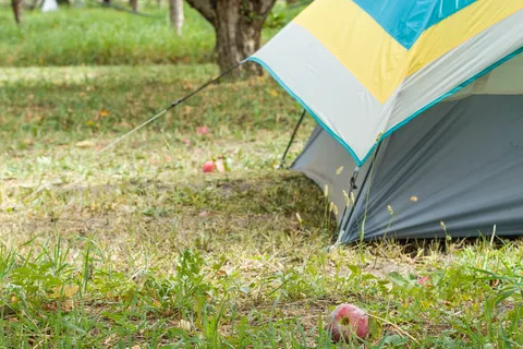 The Campground at Big B's Delicious Orchards