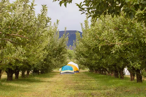 The Campground at Big B's Delicious Orchards