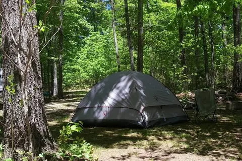 Rustic Acres RV Resort & Campground