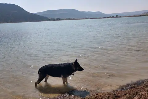 Rio Blanco Lake State Wildlife Area