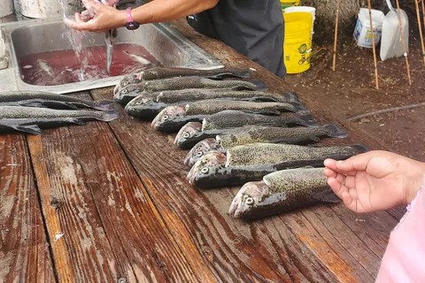 Seeping Springs Trout Lakes and RV Park