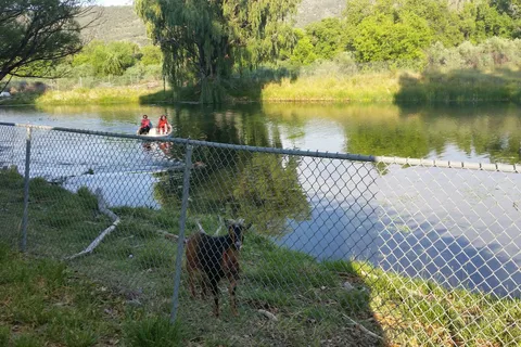 Seeping Springs Trout Lakes and RV Park