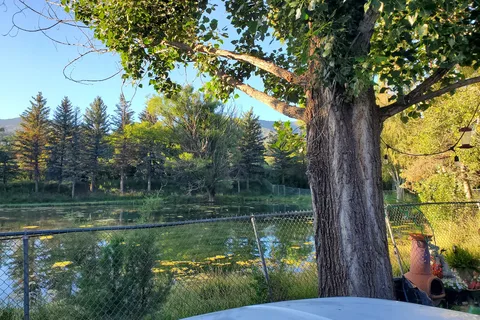 Seeping Springs Trout Lakes and RV Park