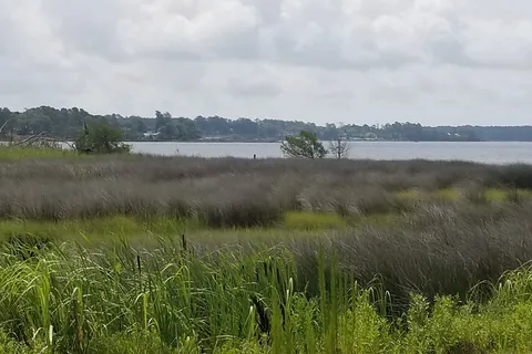 White Oak Shores Camping and RV Resort