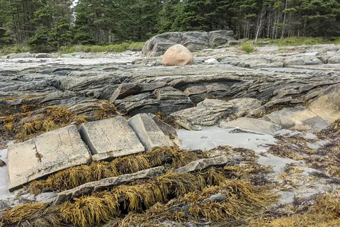 Rissers Beach Provincial Park
