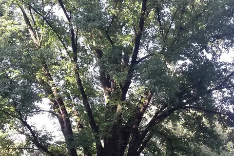 River Bend Campgrounds