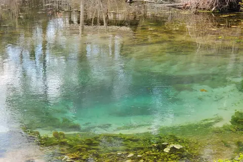 Magnolia Springs State Park