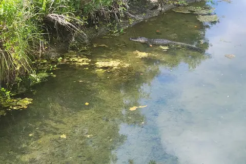 Magnolia Springs State Park