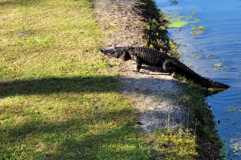Magnolia Springs State Park