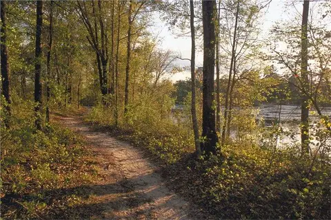 Magnolia Springs State Park